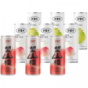 Good Hope Water Hawthorn Juice Drink 330ml 3 Flavors